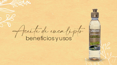 Aceite de eucalipto: descubre sus beneficios, usos y cómo incorporarlo en tu rutina