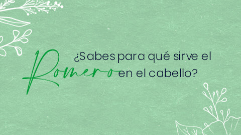 ¿Para qué sirve el romero en el cabello?